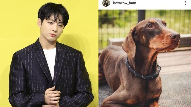 [왓IS] “아티스트는 죄가 없다”…BTS 정국, ‘하이브와 갈등’ 뉴진스 간접 응원