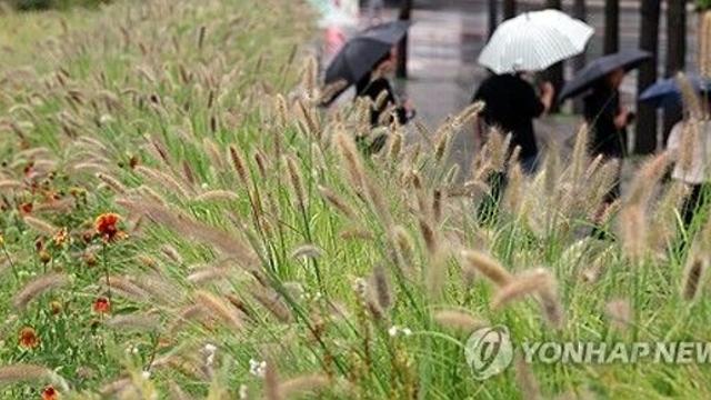 [내일날씨] 낮 최고 35도…곳곳 천둥·번개 동반 비