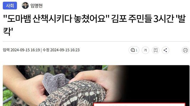 김포 근황,,