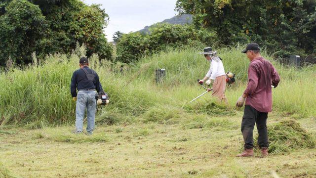 '할아버지 묘'가 사라졌다?… 남의 묘 발굴해 화장한 60대에 징역형 집유