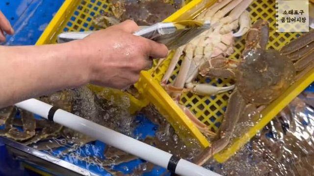 “대게 2마리 37만원” 소래포구, 점검해보니…무게 속이는 저울 ‘61개’ 발견