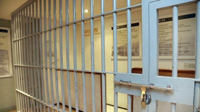 말벌술 과하게 드셨네...