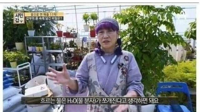 흐르는 물이 썩지 않는 이유