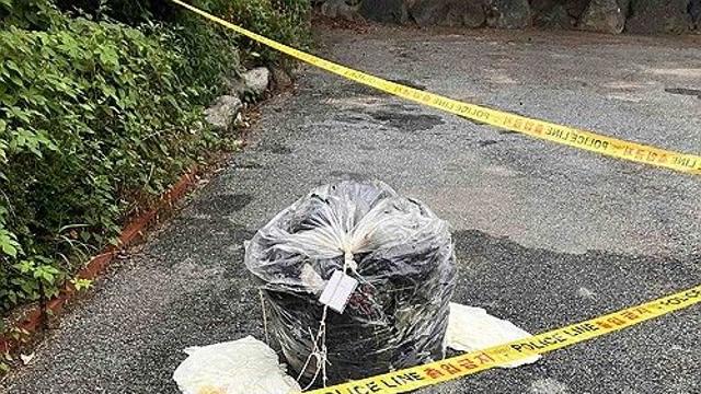 북한, 아침엔 미사일·저녁엔 쓰레기 풍선(종합)