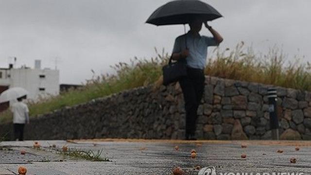 [내일날씨] '철없는' 가을 폭염 끝물…전국 흐리고 비