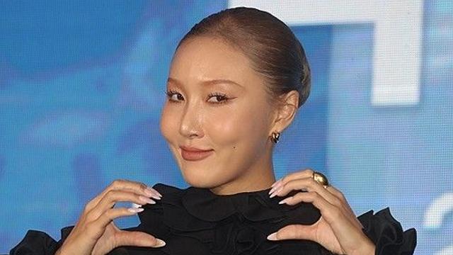 화사 