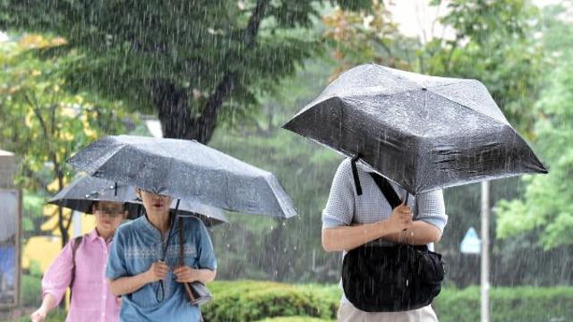 [내일 날씨] 무더위 가고 '가을장마'… 천둥·번개 동반 120㎜ 비