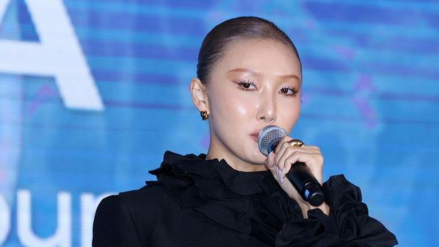 화사 