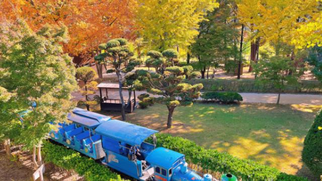 지나간 연휴가 아쉽다면? 미리 세워보는 ‘남이섬’ 가을 여행 계획!