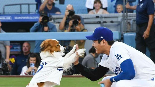 MLB 역사 새로 써 버린 오타니 쇼헤이 대기록 비화들 (ft. 50호 홈런볼)