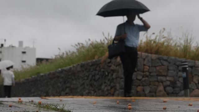 [내일날씨] 전국 대부분 지역 폭우...침수 주의