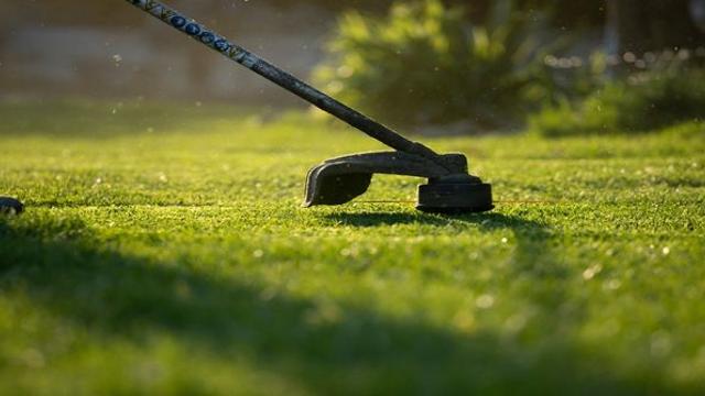 “왜 나한테 벌초 시켜” 흉기 들고 친형 협박한 50대 남성