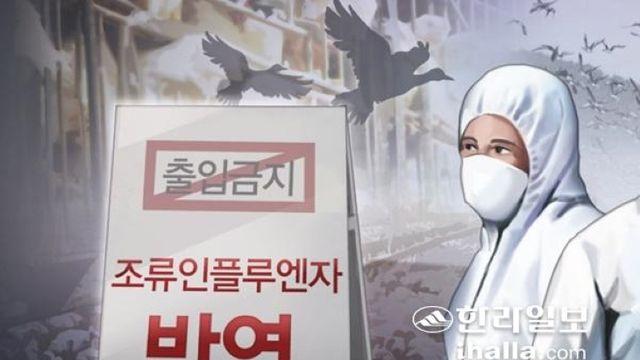 고병원성 조류인플루엔자 차단 선제적 대응