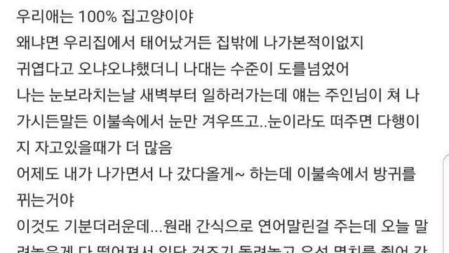 냥이가 이렇게 싹수가 없어도 되는거야?..