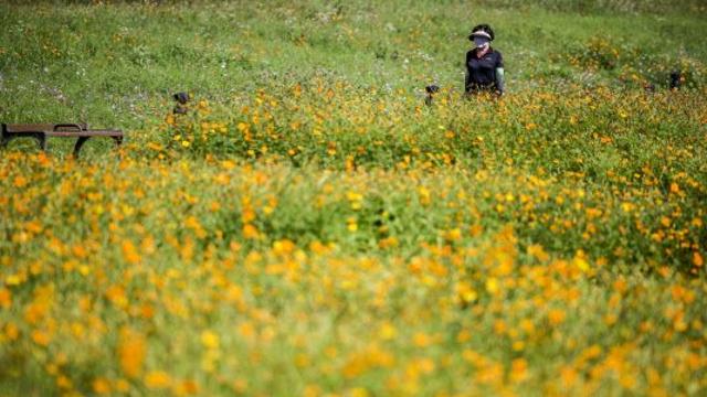 강원·제주는 오전까지 빗방울…하늘 갠 뒤 기온 뚝 떨어져[오늘날씨]