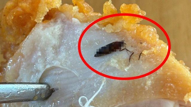치킨 한입 물었더니 '바퀴벌레'… 