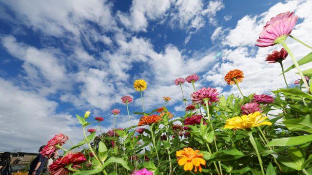 [내일 날씨] 전국 대체로 맑은 '가을 날씨'… 강원·제주 가끔 비