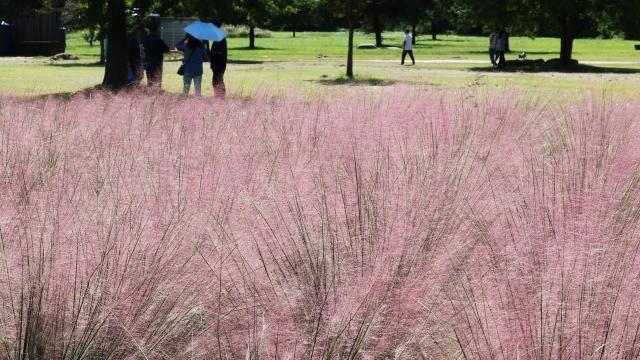 [내일 날씨] 전국 일교차 커…전국 대체로 맑음