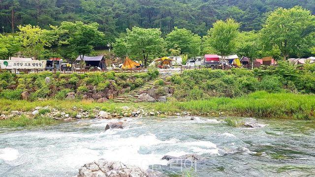 단양군, 연말까지 공공 야영장∙휴양림 숙박료 '반값'