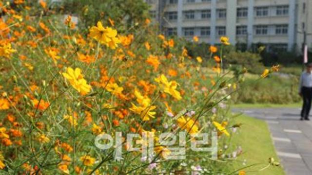 “출근길 쌀쌀해요”…아침 최저 기온 10도[오늘날씨]
