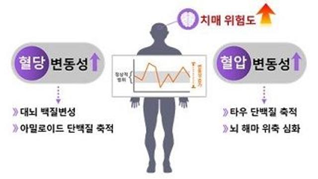 효과적인 치매 예방 위해 혈당, 혈압 수준뿐 아니라 변화 관리도 중요