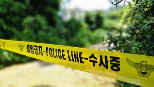 영덕 야산서 발견된 사람 뼈…1년 전 실종된 50대 남성으로 추정