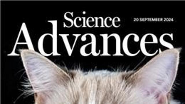 ‘고양이’ 눈 담은 고감도 인공 시각 시스템 개발