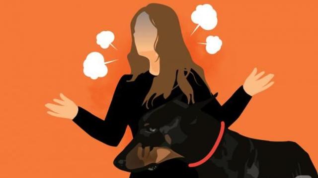 강아지 안고 엘베타려는데 내리라는 이웃…누리꾼 '설전'