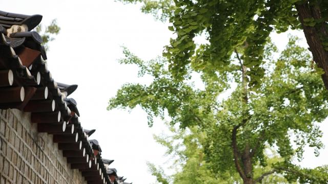 [이슈메이커] 새 옷 갈아입기 시작한 여린 그늘막