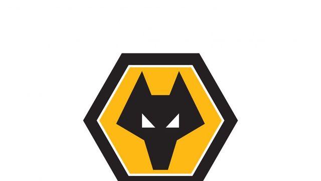 황희찬 인종차별 건에 대한 울버햄튼의 대처 및 동료 반응 ㄷㄷㄷㄷㄷ