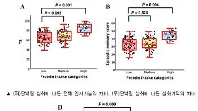알츠하이머병 유전적 소인 있는 노인, 단백질 섭취량 많으면 기억력 40% 높아