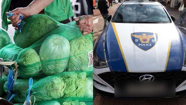 살벌한 배추 가격... 배추 때문에 살인사건까지 발생 (경기도)