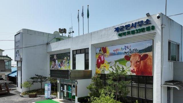 양평군 개군면의 가장 특별한 '고구마 수확 체험'