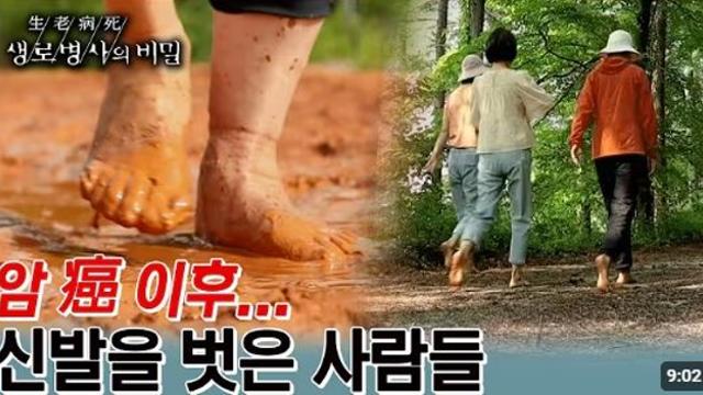 맨발 걷기와 암 치유...자연 속에서 발견하는 건강의 비결