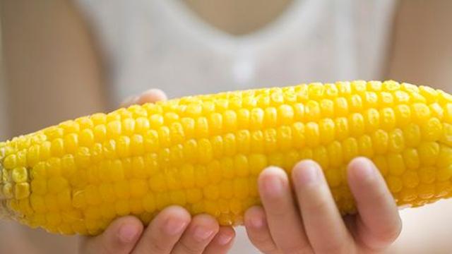 치석 막아주는 옥수수? 관리 소홀하면 되레 독