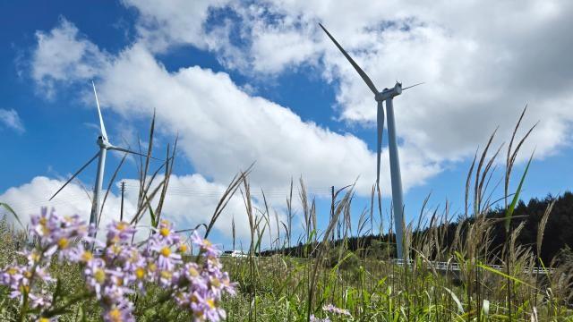 [오늘 날씨] 아침엔 13도, 오후엔 24도 '일교차 커'…일부 지역 비
