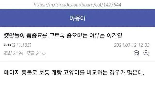 캣맘들이 유독 품종묘만 보면 발작하는 이유