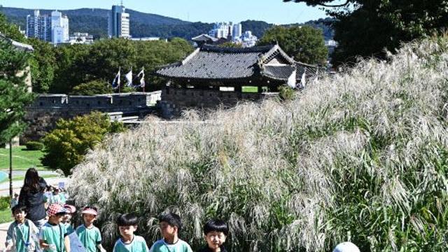 가을 아침 ‘쌀쌀’…동해안 비소식[내일날씨]