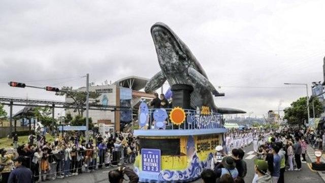 고래축제·고래특구 알린다…울산 남구, 외신기자 초청 팸투어