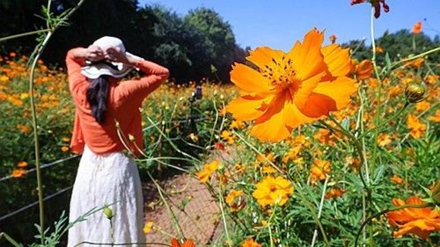 [날씨] 일교차 10도 이상으로 커…일부 지역 비·소나기