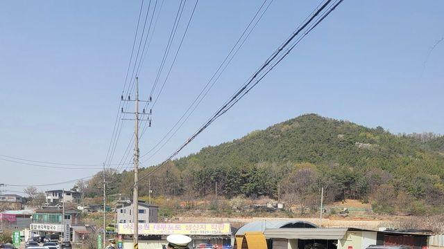 앞으로 음주운전 뒤 술타기 수법 쓰면 ‘패가망신’