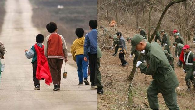 소년 5명 한꺼번에 실종됐다가 유골로... 대한민국 역사상 가장 미스터리한 사건