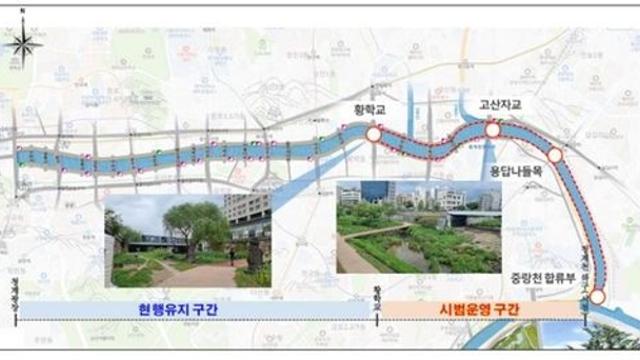 댕댕이와 함께 청계천 걸어요…연말까지 일부 구간 출입 허용