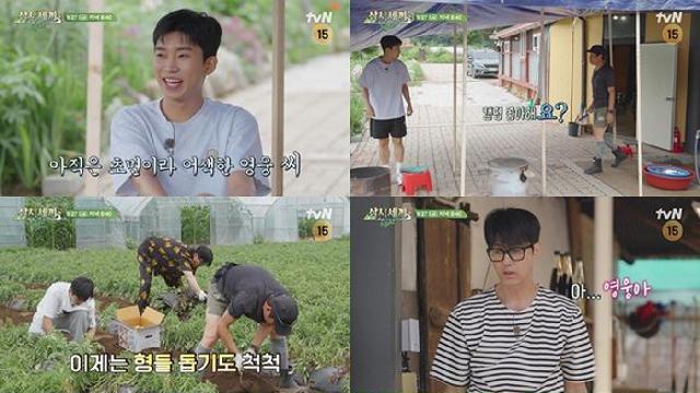 '삼시세끼' 임영웅 