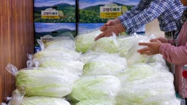 조기 출하에 중국산 긴급 수입…정부, 배춧값 안정 총력
