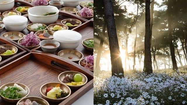 퐁당퐁당 연휴, 하나씩 정복할 맛 나는 전국 축제 3 #가볼만한곳