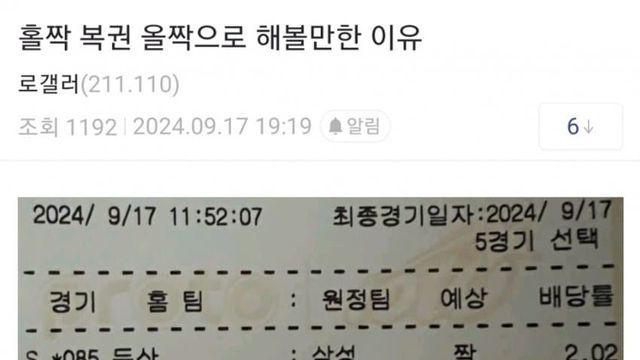 요즘 로또갤의 새로운 로또