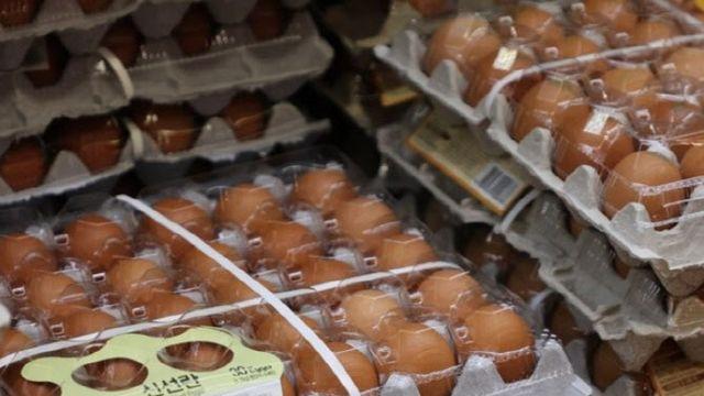 “한 달간 계란 720개를 먹어봤습니다”…‘마루타’ 자처한 괴짜 의사