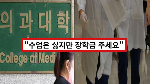 의대생 국가 장학금 신청, 양심은 어디에?.. 