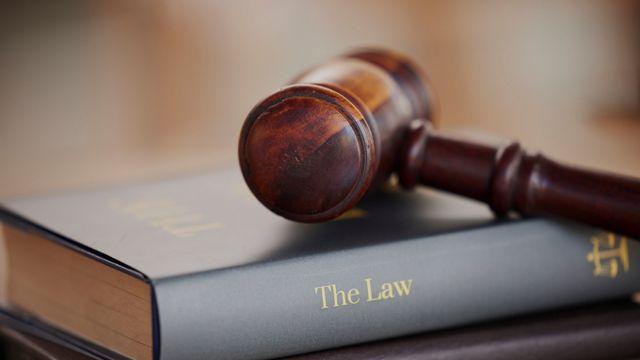 명작 반 고흐 '해바라기'에 수프 투척… 환경운동가 실형 선고받아